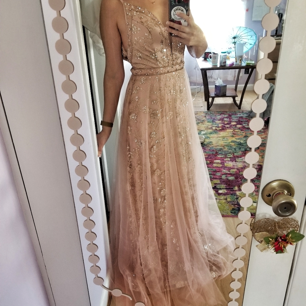 Rose Gold Gown